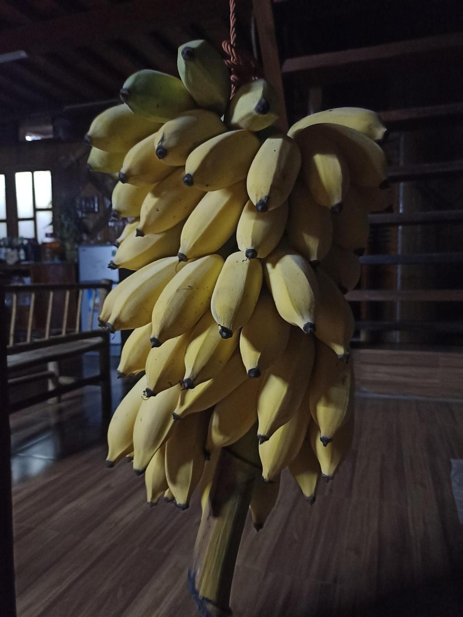 Thao Ly Homestay Mai Chau Hòa Bình Dış mekan fotoğraf