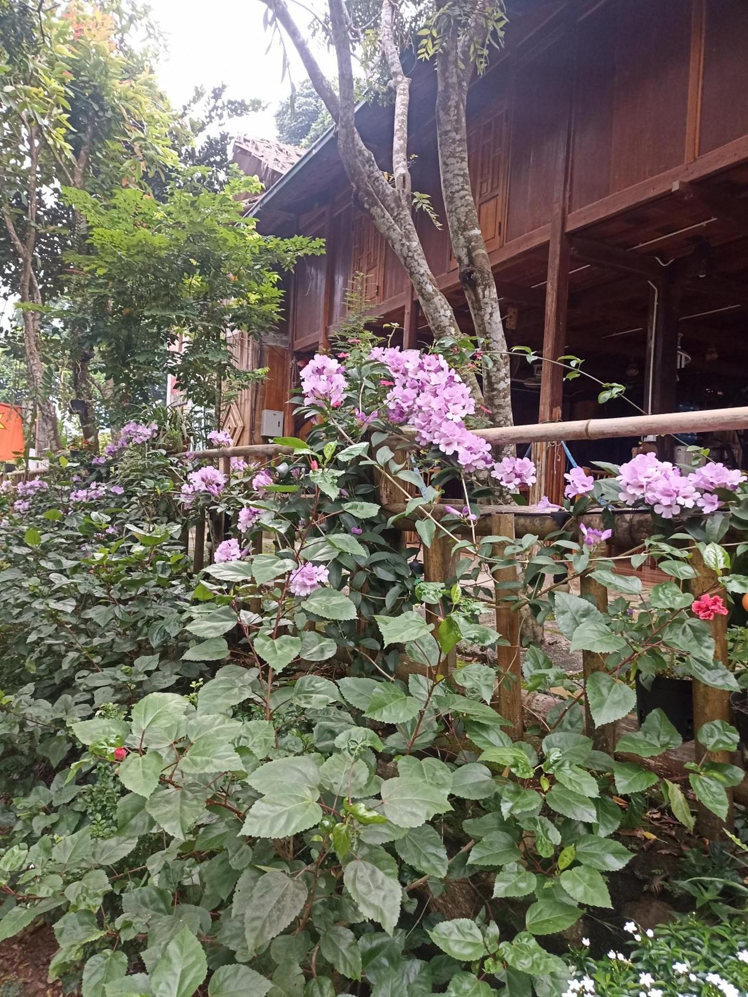 Thao Ly Homestay Mai Chau Hòa Bình Dış mekan fotoğraf